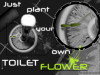 2__430x306_toilet-flower